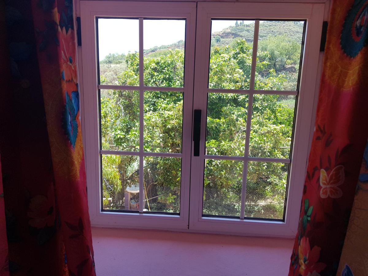Finca Rural Torres Casas 1 Y 4 Bed & Breakfast Vega de San Mateo Eksteriør billede