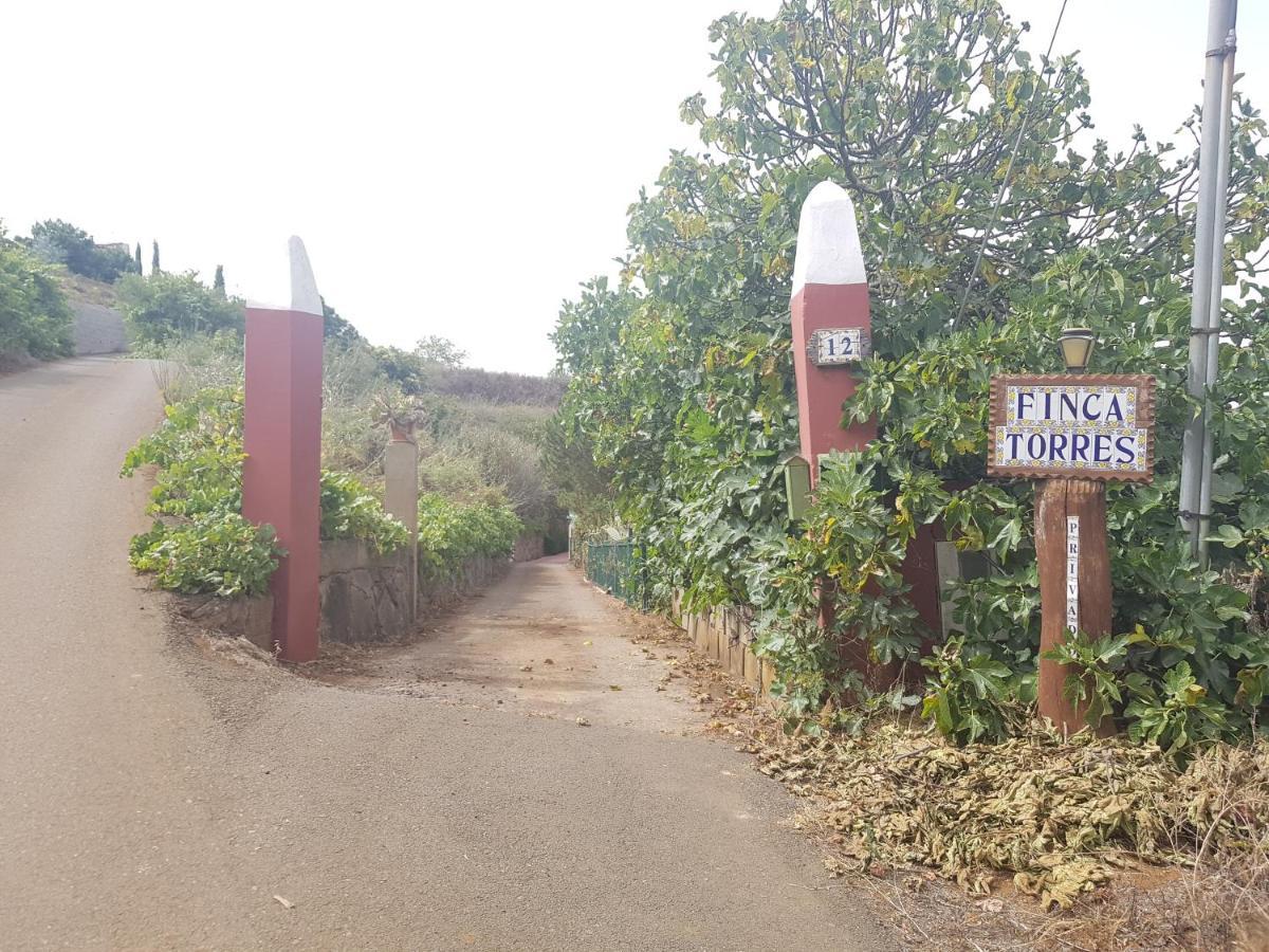 Finca Rural Torres Casas 1 Y 4 Bed & Breakfast Vega de San Mateo Eksteriør billede