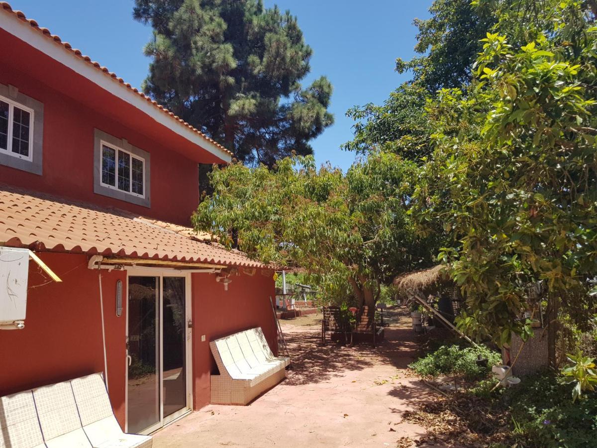 Finca Rural Torres Casas 1 Y 4 Bed & Breakfast Vega de San Mateo Eksteriør billede
