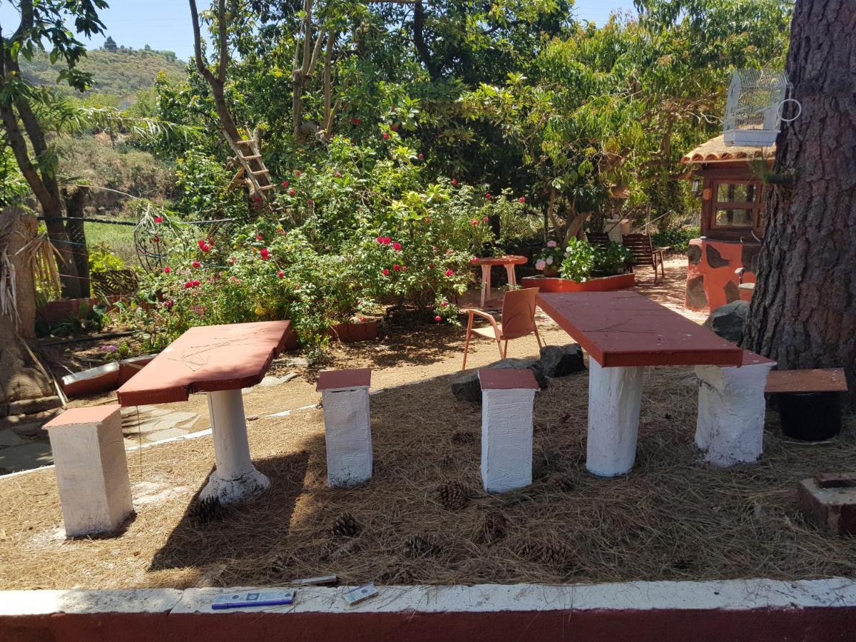 Finca Rural Torres Casas 1 Y 4 Bed & Breakfast Vega de San Mateo Eksteriør billede