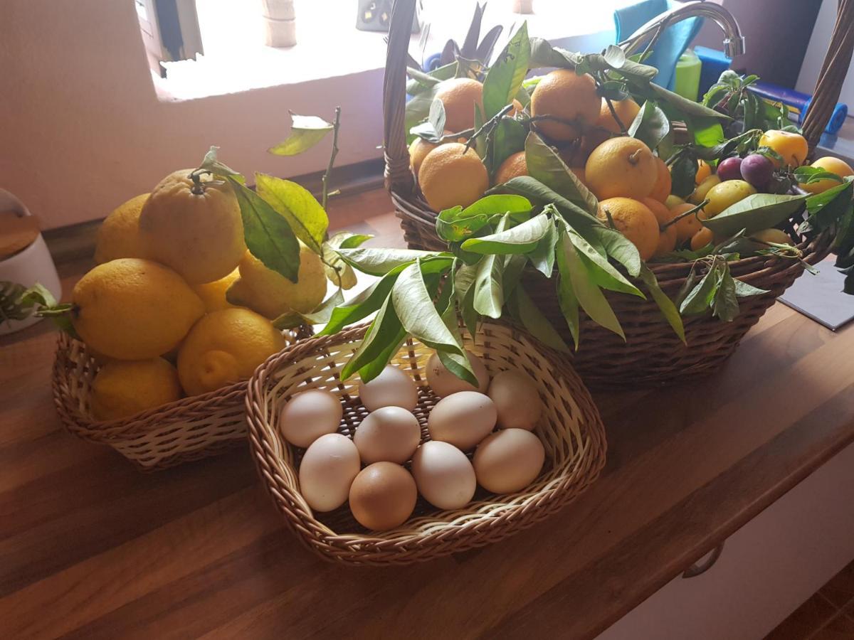 Finca Rural Torres Casas 1 Y 4 Bed & Breakfast Vega de San Mateo Eksteriør billede