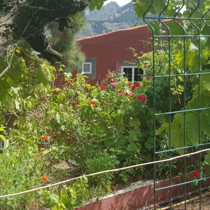 Finca Rural Torres Casas 1 Y 4 Bed & Breakfast Vega de San Mateo Eksteriør billede