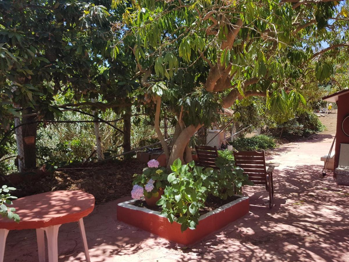 Finca Rural Torres Casas 1 Y 4 Bed & Breakfast Vega de San Mateo Værelse billede