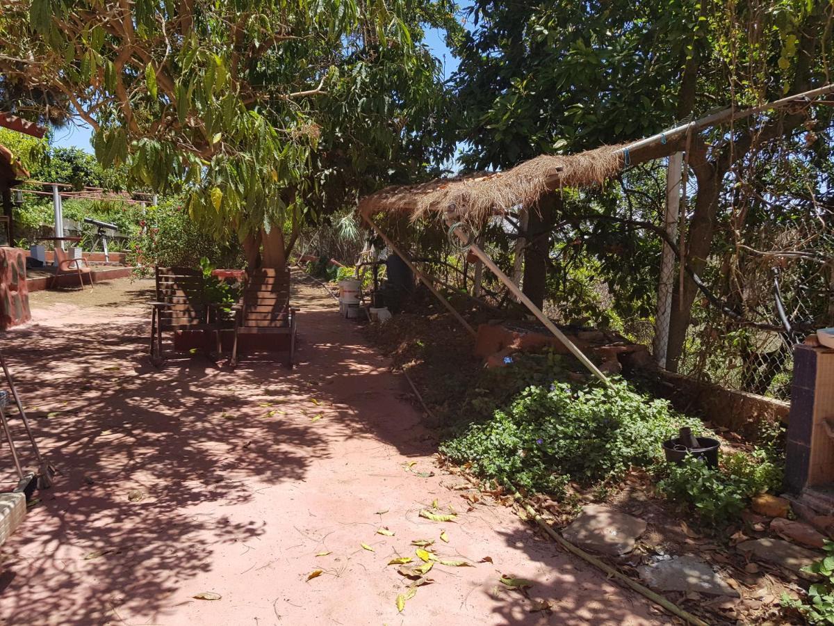 Finca Rural Torres Casas 1 Y 4 Bed & Breakfast Vega de San Mateo Værelse billede